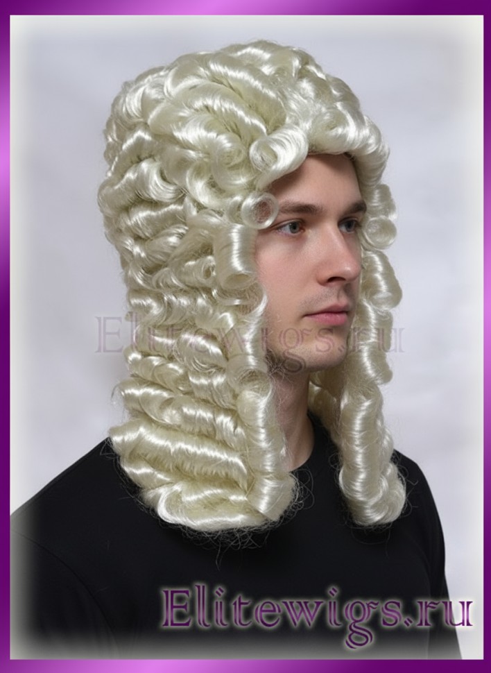 Театральный  парик СУДЬЯ