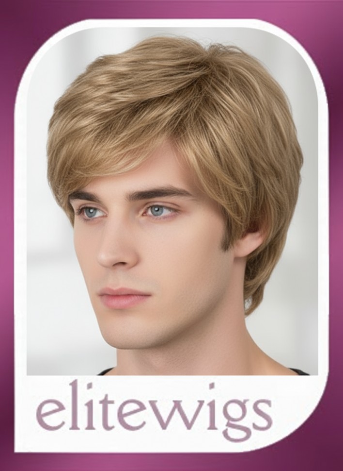 Мужской искусственный парик 315