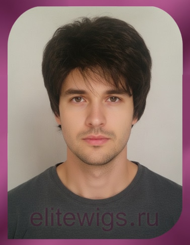 Мужской искусственный парик E1733A