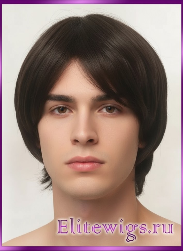 Мужской парик Al Pachino