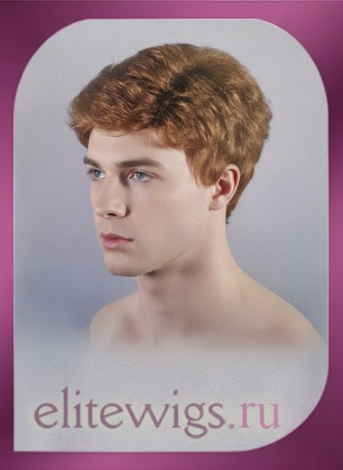 Мужской искусственный парик 223