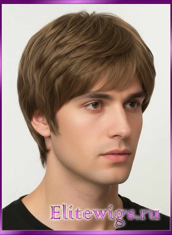 Мужской парик DW2019