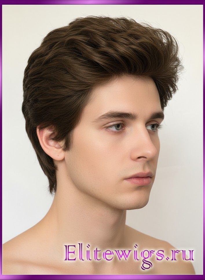 Мужской парик 2547